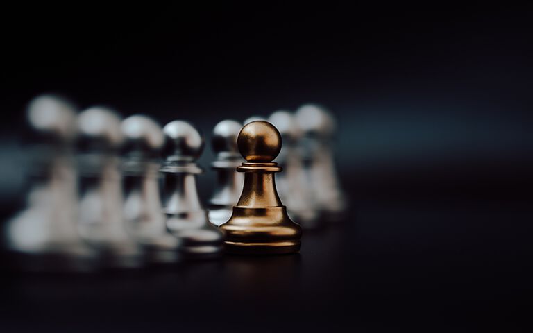 Executive Leadership Development: Strategies for Leading 